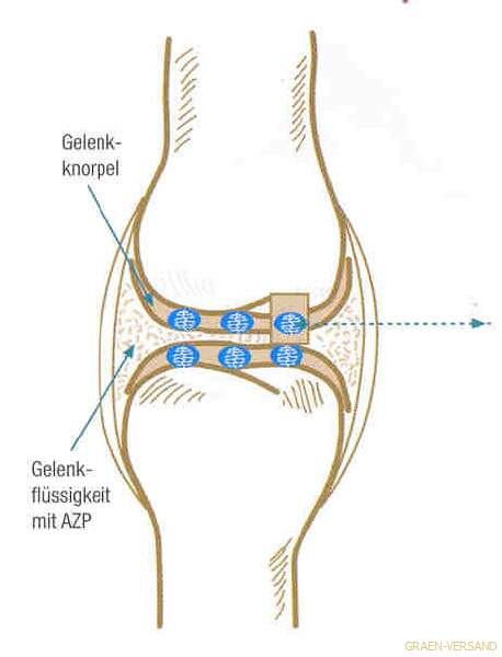 Movilan - natürliche Vitalstoffe aus dem Meer